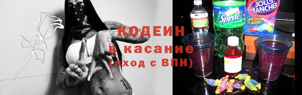 прущие грибы Куйбышев