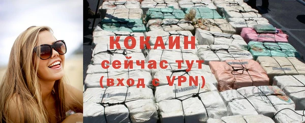 прущие грибы Куйбышев