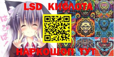 индика Камышлов