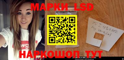 индика Камышлов