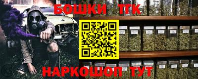 индика Камышлов