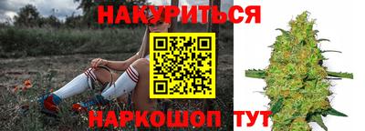 индика Камышлов