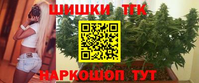 индика Камышлов