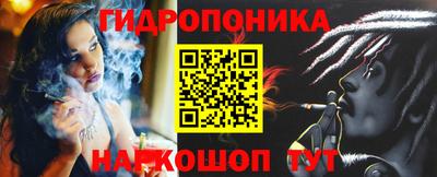 индика Камышлов