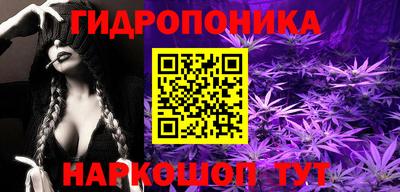 индика Камышлов