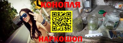 индика Камышлов