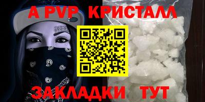 индика Камышлов