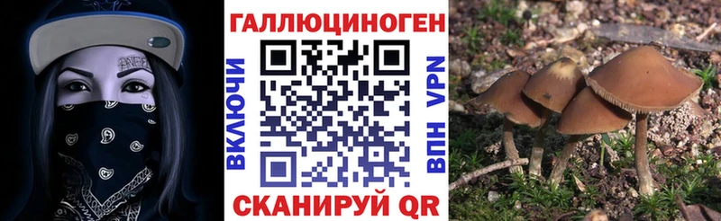 darknet клад Энгельс Галлюциногенные грибы ЛСД цена