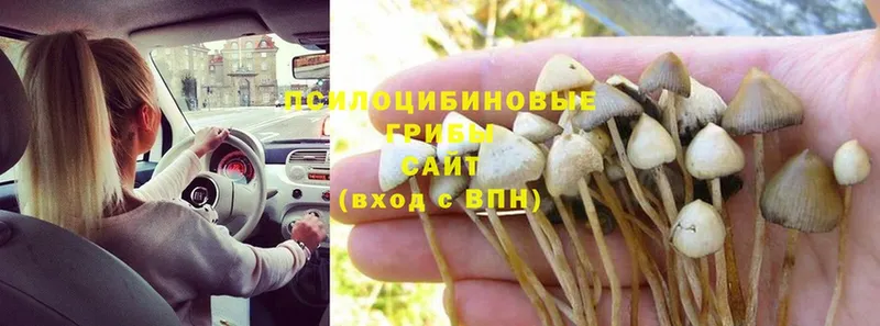 ОМГ ОМГ ссылка  Энгельс  Галлюциногенные грибы мухоморы 