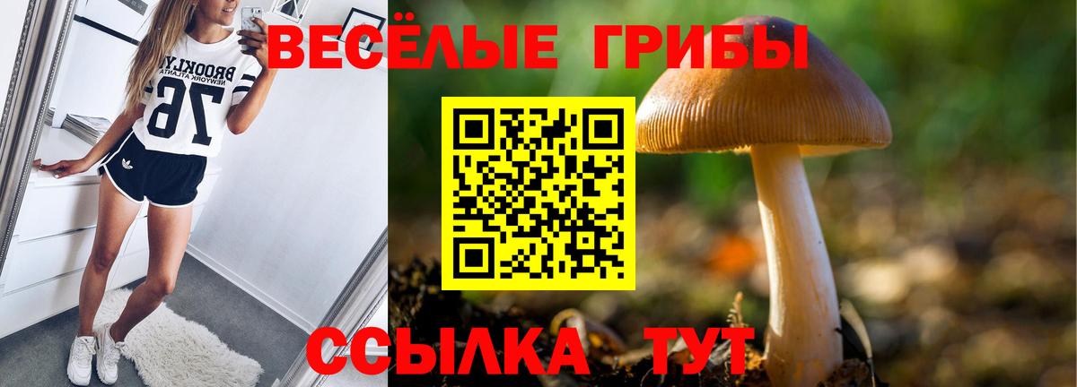 Псилоцибиновые грибы мицелий Энгельс